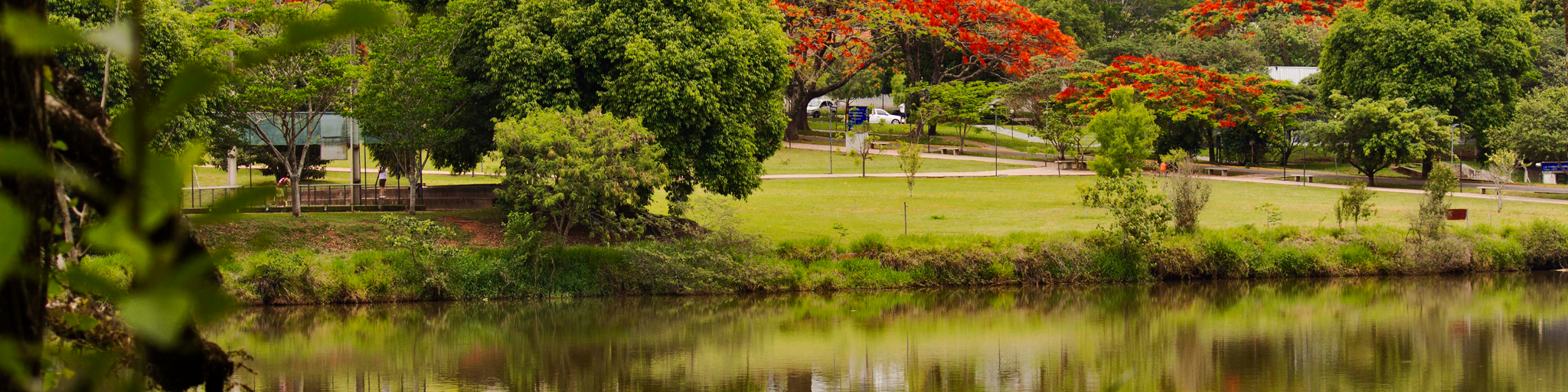 Vista Lateral Lagoa UFSCar São Carlos