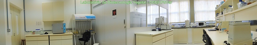 Laboratório de Biotecnologia Vegetal