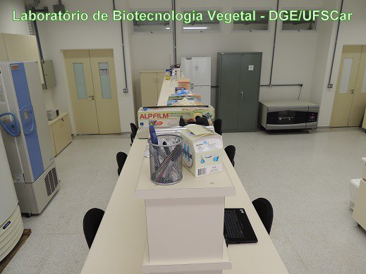 Laboratório de Biotecnologia Vegetal