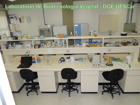 Laboratório de Biotecnologia Vegetal