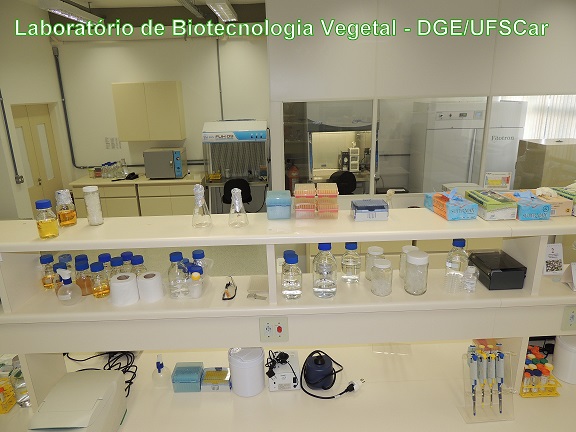 Laboratório de Biotecnologia Vegetal