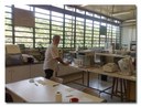 Laboratório de Genética Evolutiva de Himenópteros Laboratório de Genética Evolutiva de Himenópteros